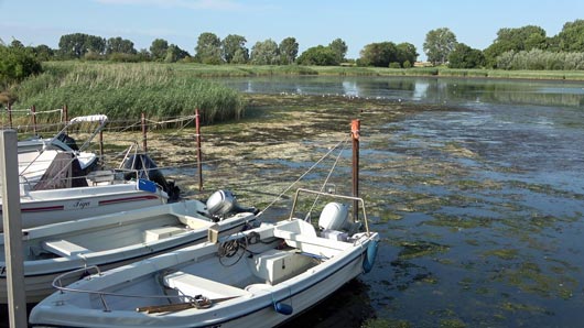 hier fehlt das Wasser