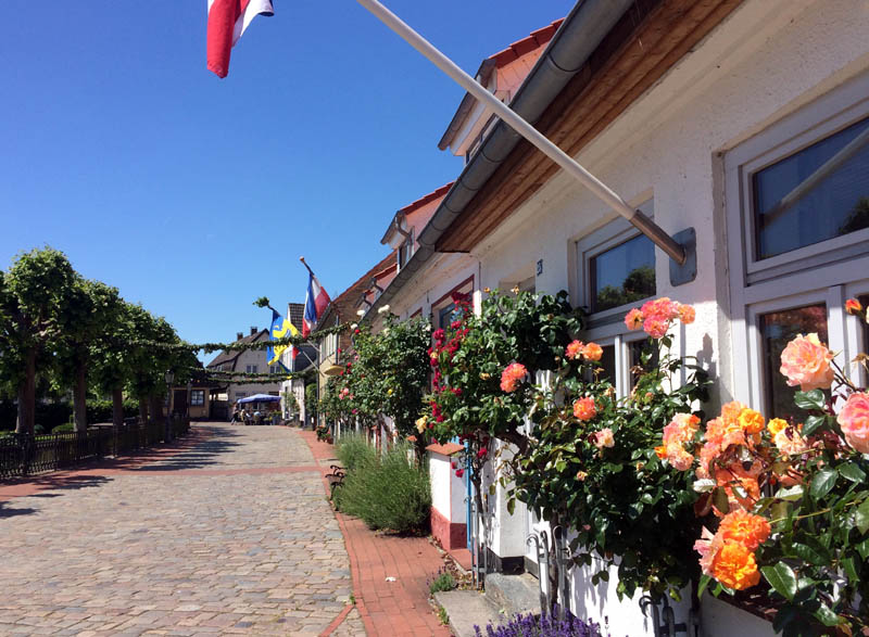 Blumenschmuck auf dem Holm in Schleswig