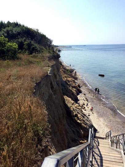 Blick vom Darß auf die Ostsee